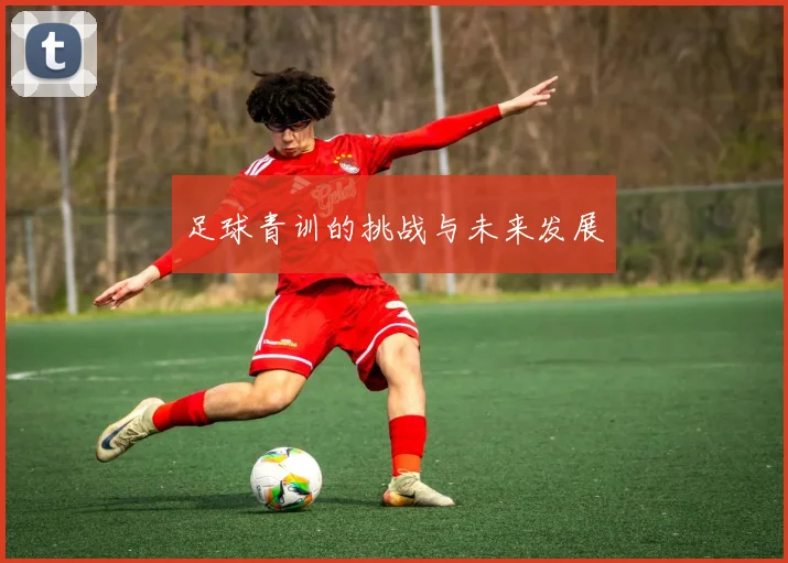 足球青训的挑战与未来发展