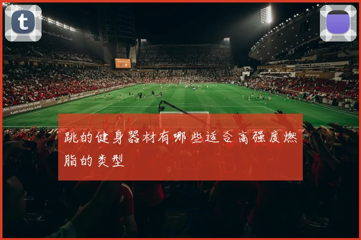 跳的健身器材有哪些适合高强度燃脂的类型