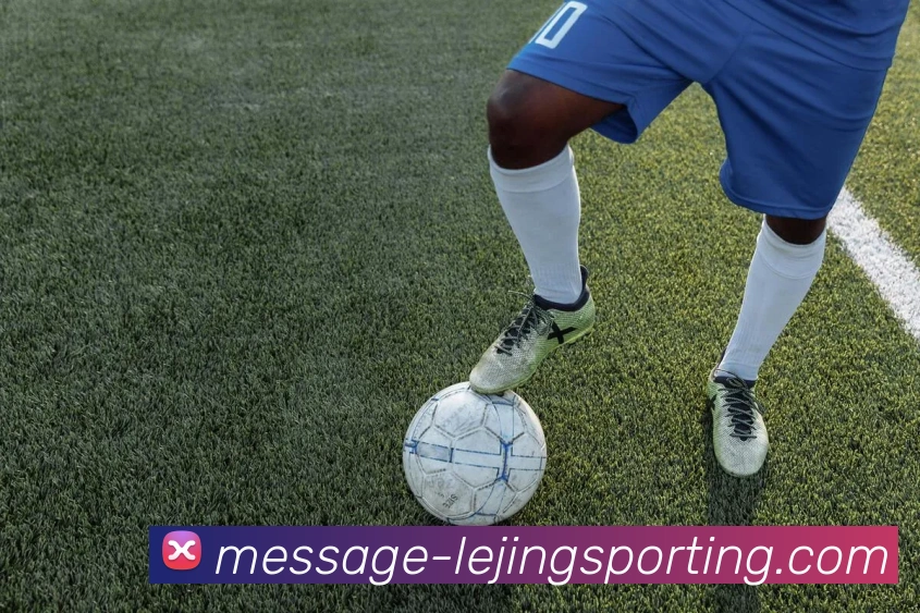 App Interface Preview